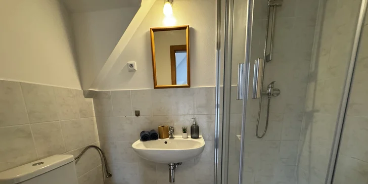 Příjemný penzion nedaleko Karlštejna se snídaní, saunou a koňmi