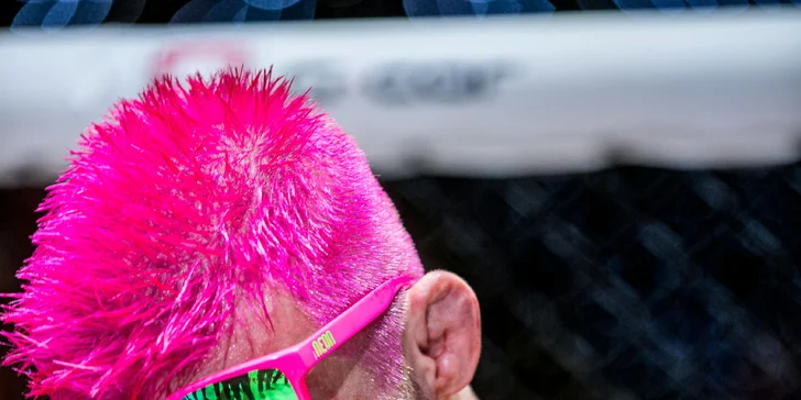 Soukromý trénink s Davidem "Pink Pantherem" Kozmou: lekce MMA pro jednoho i dva rváče