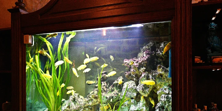 Wellness balíčky s masážemi, saunou, bazénem a dalšími procedurami: 75 minut až 4,5 hodiny