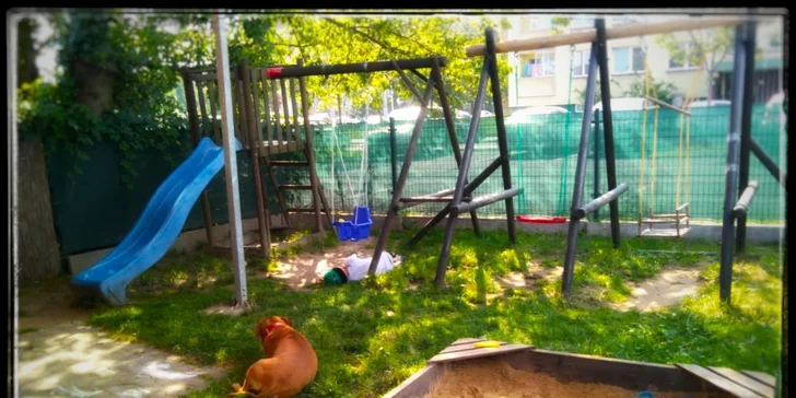 Skoro dvoukilové pečené koleno pro 1 nebo 2 osoby s pivem nebo bez
