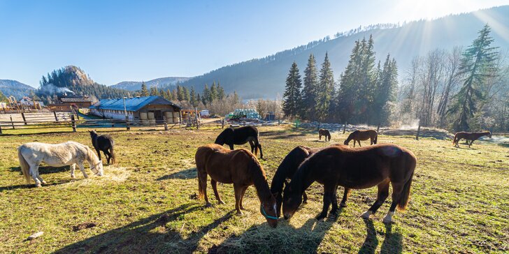 Zážitkový pobyt ve Slovenském ráji: nocování v teepee, dostavníku i chaloupce, jízda na koni