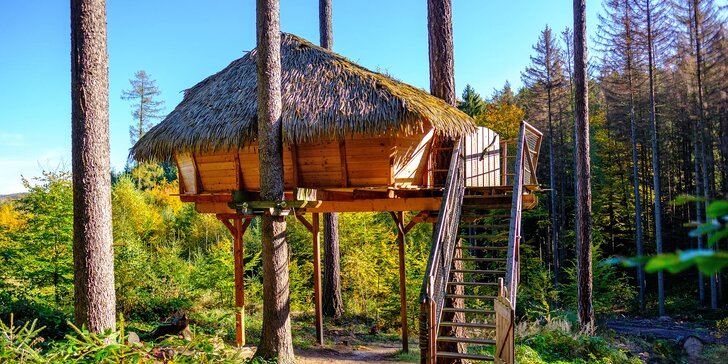 Tree house v lesích u Brna: domek postavený na modřínu až pro 4 osoby
