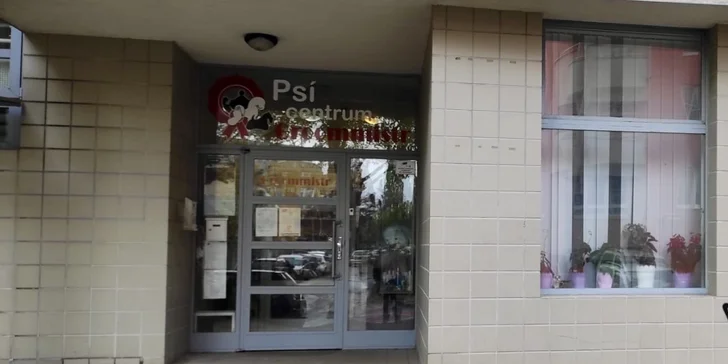Péče o domácí mazlíčky v salonu Groommistr: voucher na koupání, střih i zastřižení drápků