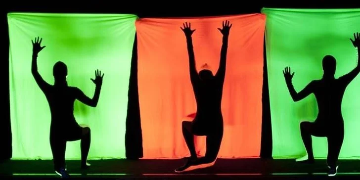 Vstupenka na úžasné představení černého divadla WOW Show