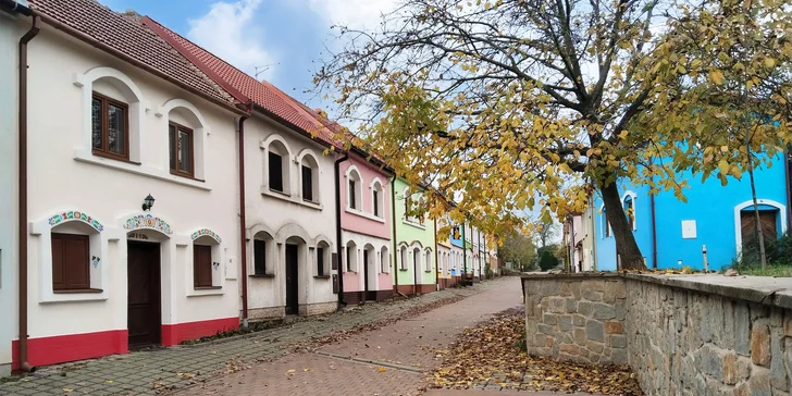 Pobyt ve vinném sklepě pro 4 až 7 osob: možnost objednání degustace, 6 lahví vína v ceně