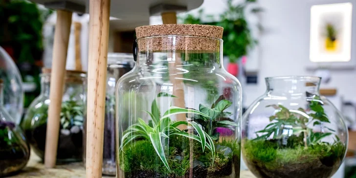 Gardners: kurz na výrobu vlastního florária pro 1-2 osoby, veškerý materiál i rostliny na místě, nápoj