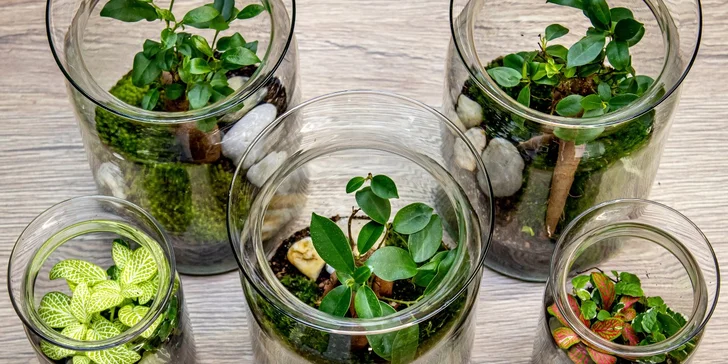 Gardners: kurz na výrobu vlastního florária pro 1-2 osoby, veškerý materiál i rostliny na místě, nápoj