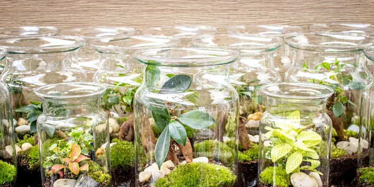 Gardners: kurz na výrobu vlastního florária pro 1-2 osoby, veškerý materiál i rostliny na místě, nápoj