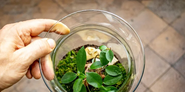 Gardners: kurz na výrobu vlastního florária pro 1-2 osoby, veškerý materiál i rostliny na místě, nápoj