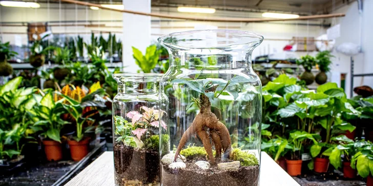 Gardners: kurz na výrobu vlastního florária pro 1-2 osoby, veškerý materiál i rostliny na místě, nápoj