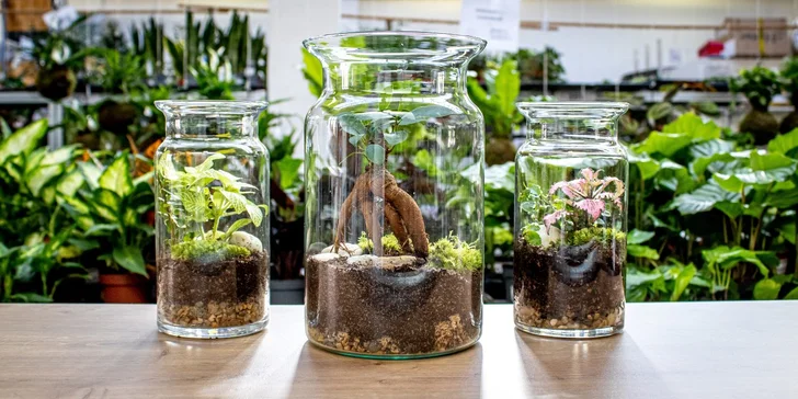 Gardners: kurz na výrobu vlastního florária pro 1-2 osoby, veškerý materiál i rostliny na místě, nápoj