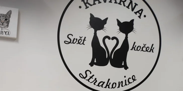 Voucher v hodnotě 150 až 500 Kč do kočičí kavárny: káva, koktejly i zákusky