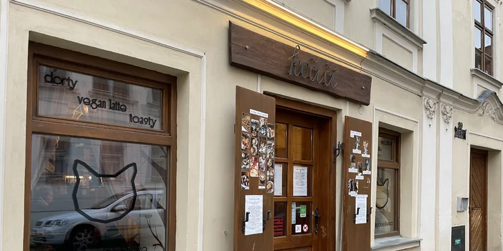 V kočičí společnosti: otevřený voucher do kočičí kavárny na 300 nebo 500 Kč