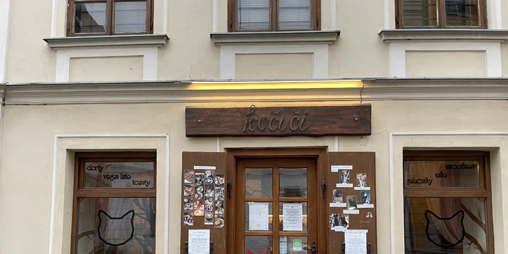 V kočičí společnosti: otevřený voucher do kočičí kavárny na 300 nebo 500 Kč