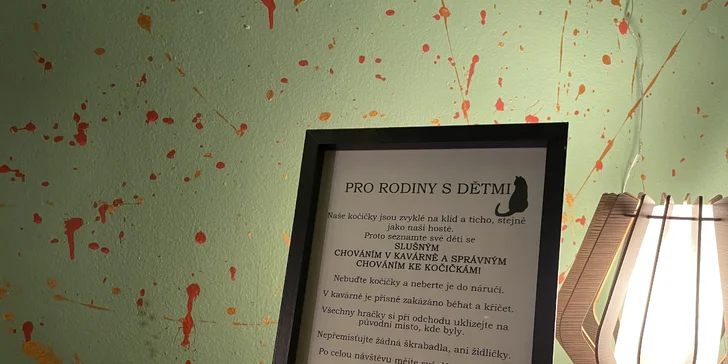 V kočičí společnosti: otevřený voucher do kočičí kavárny na 300 nebo 500 Kč