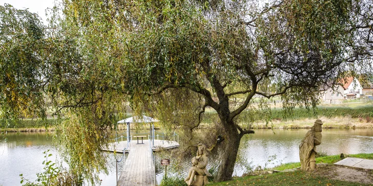 Pobyt ve středních Čechách: možnost stravy, rybaření i minizoo