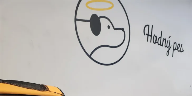 Hodný pes: Výukové semináře, online konzultace i individuální výcvik psů