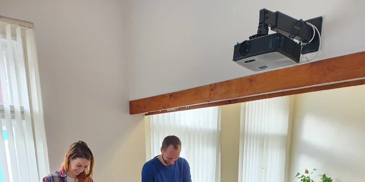Hodný pes: Výukové semináře, online konzultace i individuální výcvik psů