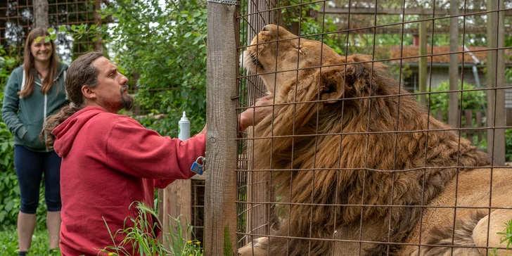 VIP prohlídka Kontaktního Zooparku, při které si budete moci zvířata pohladit