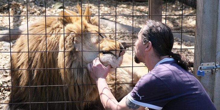 VIP prohlídka Kontaktního Zooparku, při které si budete moci zvířata pohladit
