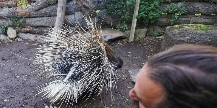 VIP prohlídka Kontaktního Zooparku, při které si budete moci zvířata pohladit