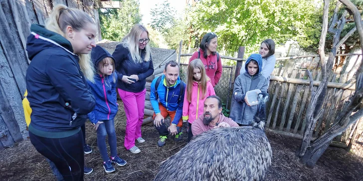 VIP prohlídka Kontaktního Zooparku, při které si budete moci zvířata pohladit