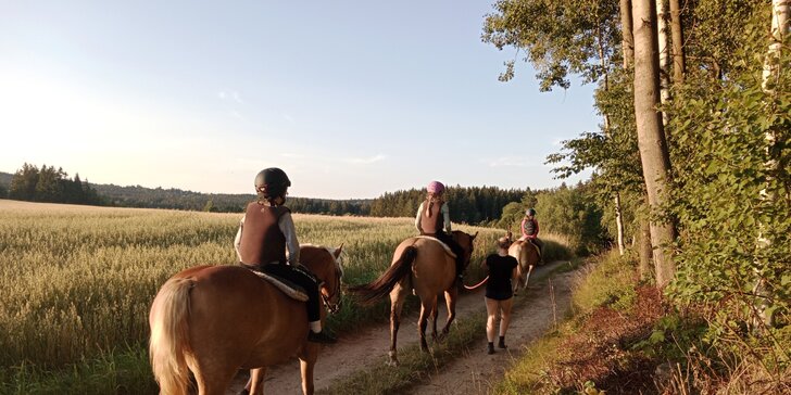 Zážitek pro princezny nebo farmáře: vyjížďka s vodičem pro začátečníky nebo celý den u koní