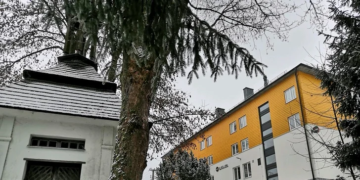 Zima na břehu Lipna: hotel s polopenzí, lyžování v Rakousku i bruslení na dosah ruky
