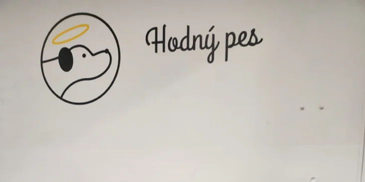 Hodný pes: Výukové semináře, online konzultace i individuální výcvik psů