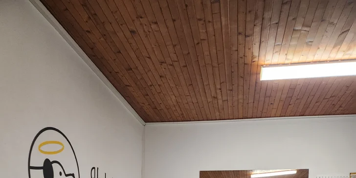Hodný pes: Výukové semináře, online konzultace i individuální výcvik psů