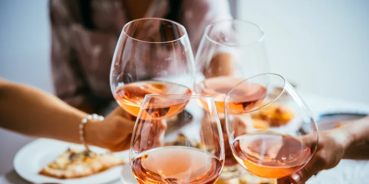 Až 8 dní mezi vinicemi na jižní Moravě: pobyt se snídaní i degustace vín