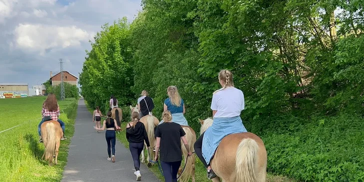 Zážitek pro princezny nebo farmáře: vyjížďka s vodičem pro začátečníky nebo celý den u koní