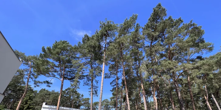 Je tu parádny pokoj, pretože hotel je zasadený v lese.