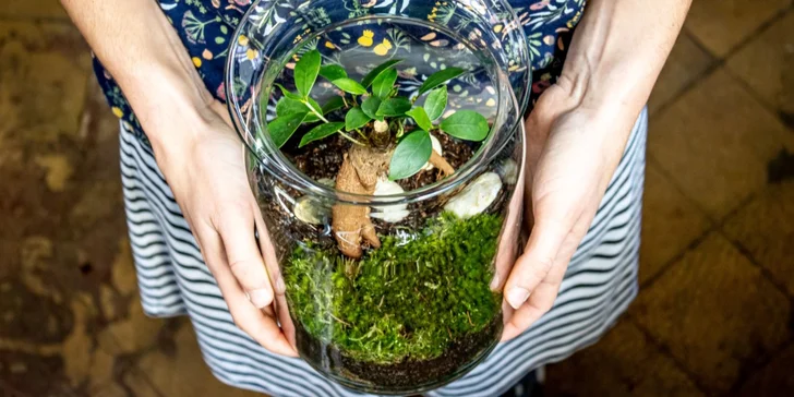 Gardners: kurz na výrobu vlastního florária pro 1-2 osoby, veškerý materiál i rostliny na místě, nápoj