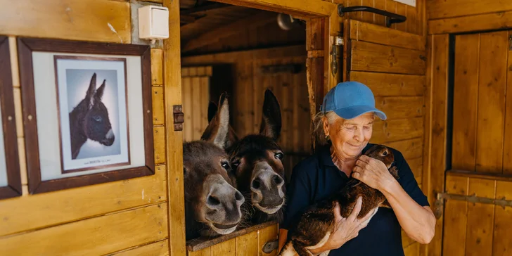 Pobyt v Moravském krasu: hotel ideální pro rodiny, polopenze, minizoo a bazén