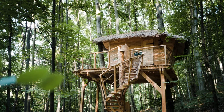 Zážitkový pobyt v unikátním Treehouse v Trenčianských Teplicích se snídaní a vstupem do wellness