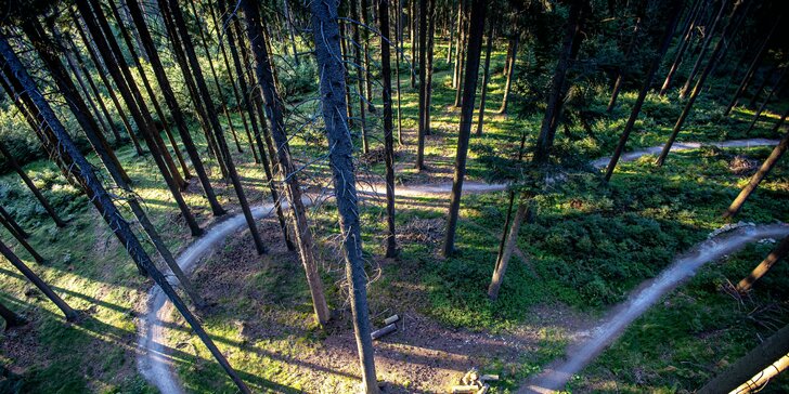 Celosezónní vstup na atrakce na Lipně: Stezka v korunách, Království lesa, skipas i lanovka ad.