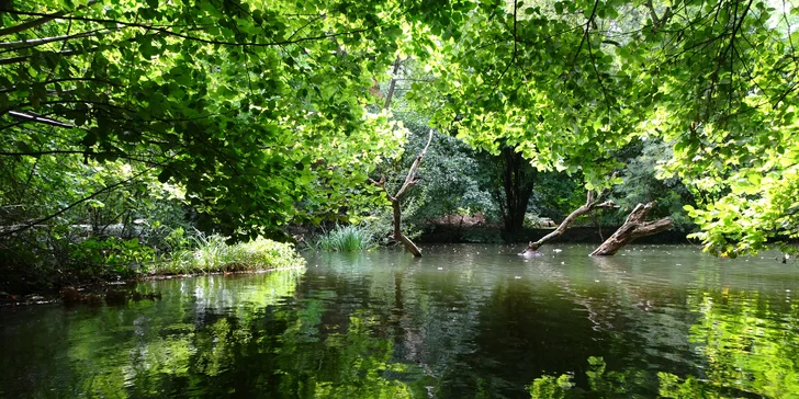 Nové apartmány v maďarském Sárváru i dokonalý relax v královských termálních lázních