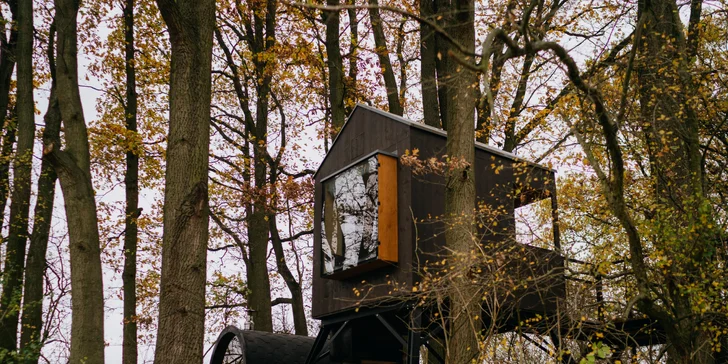Kouzelný pobyt v treehouse až pro 4 osoby i venkovní sudová sauna