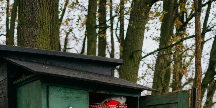 Kouzelný pobyt v treehouse až pro 4 osoby i venkovní sudová sauna