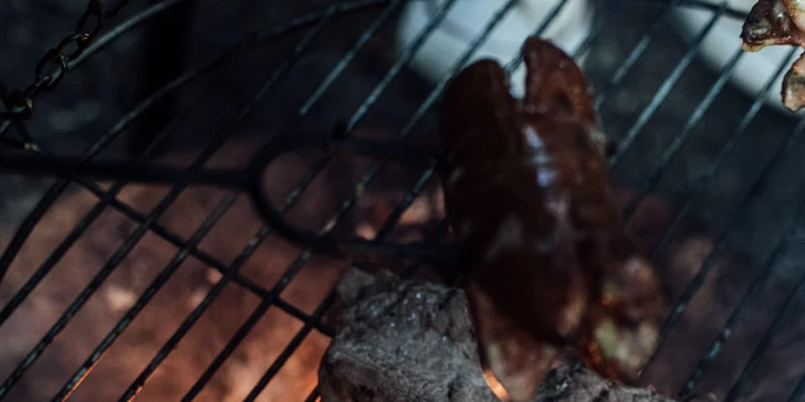 Kouzelný pobyt v treehouse až pro 4 osoby i venkovní sudová sauna