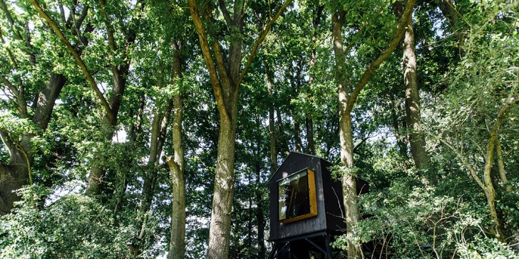 Kouzelný pobyt v treehouse až pro 4 osoby i venkovní sudová sauna