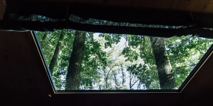 Kouzelný pobyt v treehouse až pro 4 osoby i venkovní sudová sauna