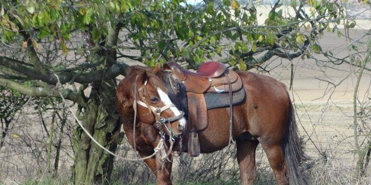 Hodina na statku: péče o koně i vyjížďka do přírody až pro dva, pro děti projížďka na poníkovi