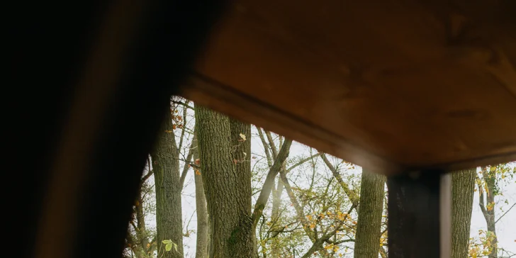 Kouzelný pobyt v treehouse až pro 4 osoby i venkovní sudová sauna