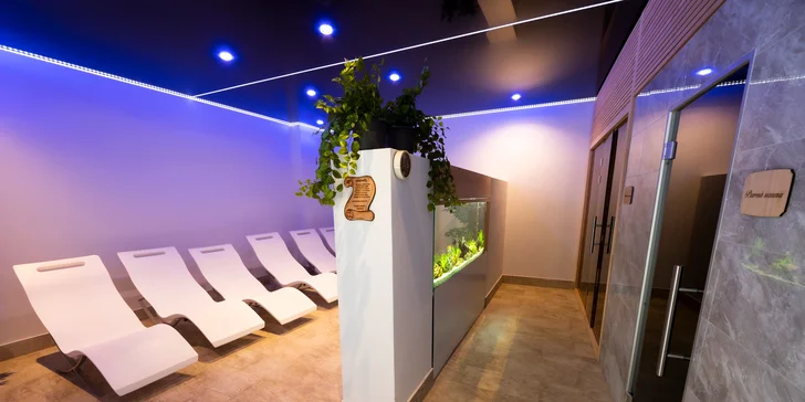 Pobyt v Trenčianských Teplicích: vstup do wellness, welcome drink i strava