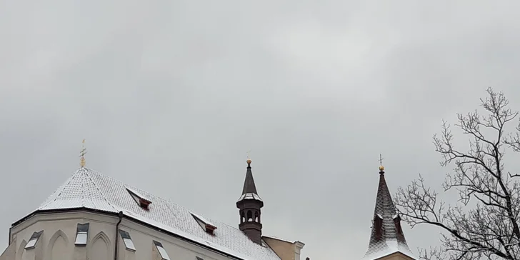 Vstupné do Sázavského kláštera pro dospělé, studenty, seniory i ZTP
