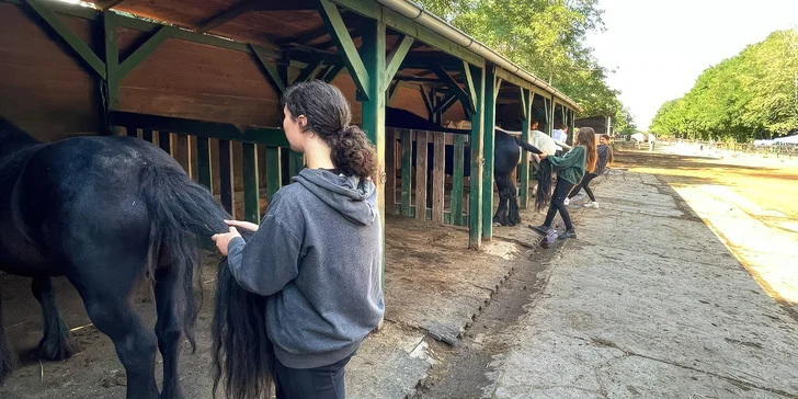 Celodenní program s koňmi v Jízdárně Hloubětín pro 1 nebo 2 osoby