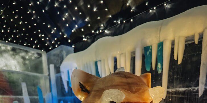 Pohádkový svět ICE MAGIC: vstupenky na největší ledovou výstavu v ČR