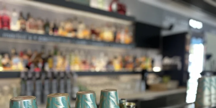 Grilovaný camembert s brusinkami, rajčátky a salátem i sklenka prosecca pro 2 osoby